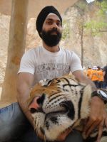 AD Singh tames full grown Tigers in tiger temple, a place on the remote outskirts of bangkok is situated in kanchanaburi on 13th May 2012 (13).jpeg